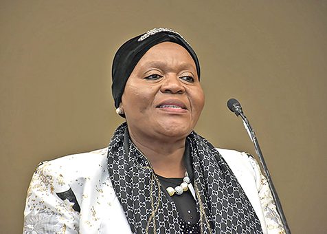Nxesi in crosshairs over suspended DG