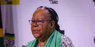 SA is committed to peace-resolution efforts globally – Pandor
