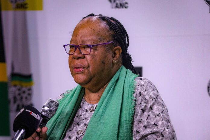 SA is committed to peace-resolution efforts globally – Pandor