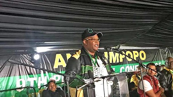 Danny Msiza can campaign for ANC, Mantashe says 