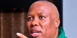 'Voters fail to see through Zuma’s manipulative ways' - Mtolo