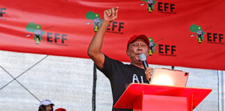 Malema's firearm case postponed