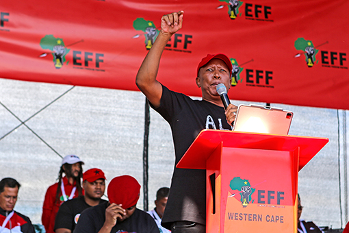 Malema's firearm case postponed