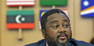 Chief of staff on sabbatical, not fired – Mbalula