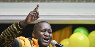 KZN ANC leadership
