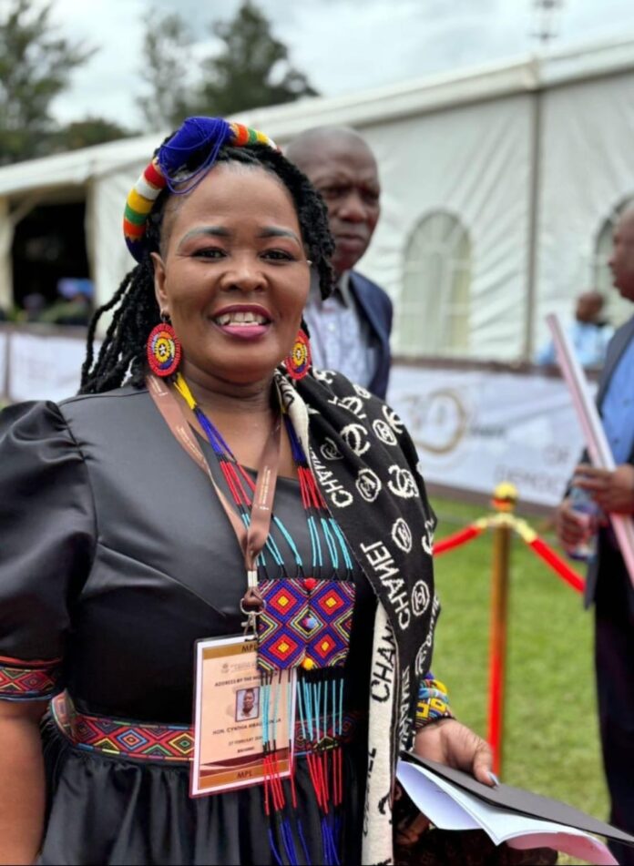MEC Mbali Shinga to keep her job after the KZN Speaker Nontebeko Boyce told the NFP's acting secretary Bheki Xaba to go fly a kite when he demanded that the party's KZN Chairperson be axed
