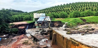 Tornado ravages KwaZulu-Natal sugarcane sector 