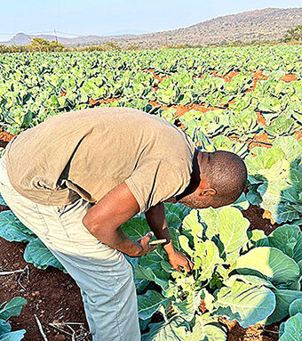 Netwoking helped small-scale farmer get into the big time