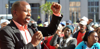 Insults fly over DA as Lungisa calls NEC members ‘careerists’
