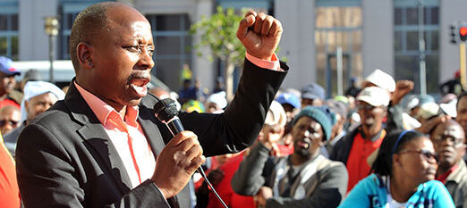Insults fly over DA as Lungisa calls NEC members ‘careerists’