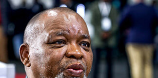 Stop mining permit abuse in Mpumalanga or else - local forum