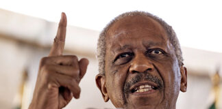 Phosa wants KZN police boss to stop corrupt cops 