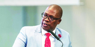 Panyaza Lesufi address