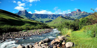 Cannabis project to inject billions of rands into Bergville 