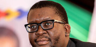 KZN CoGTA MEC Thulasizwe Buthelezi has assembled a special team to resolve Amakhosi succession disputes in the province.