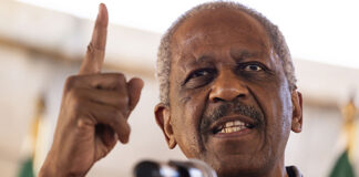 Mathews Phosa wins against top legal firm