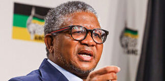 Fikile Mbalula's New Year message