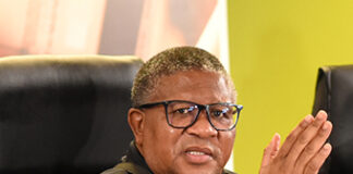 ANALYSIS| ANC NEC: Relevant talks or political management?