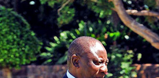 Cyril Ramaphosa and Davos