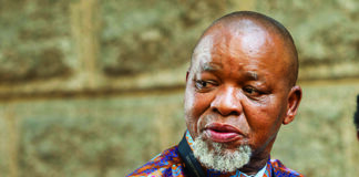 Gwede Mantashe