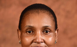 Minister Thembi Simelane mugged in broad daylight