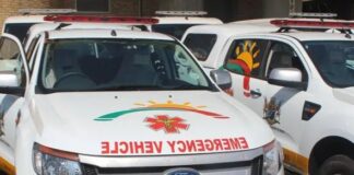 Mpumalanga health denies shielding staff found guilty of fraud