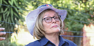 Helen Zille and Expropriation Act