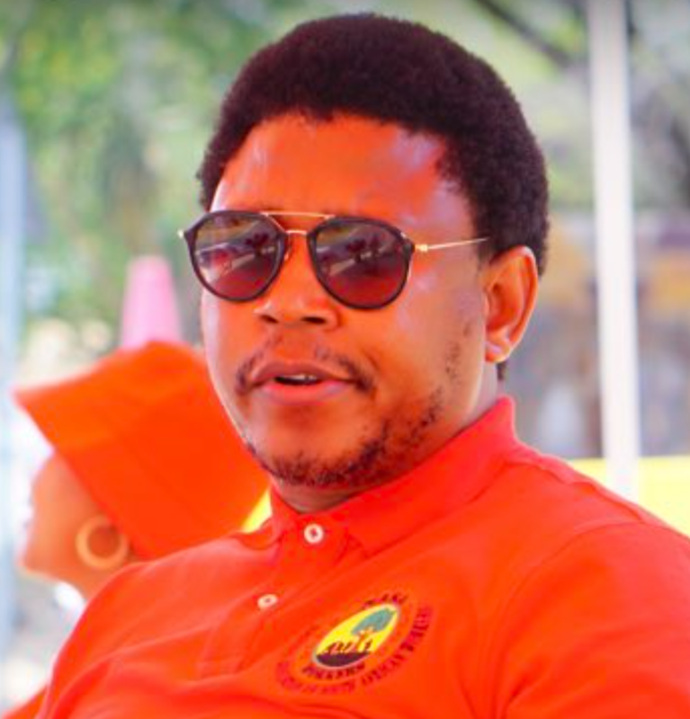 EFF leader quits