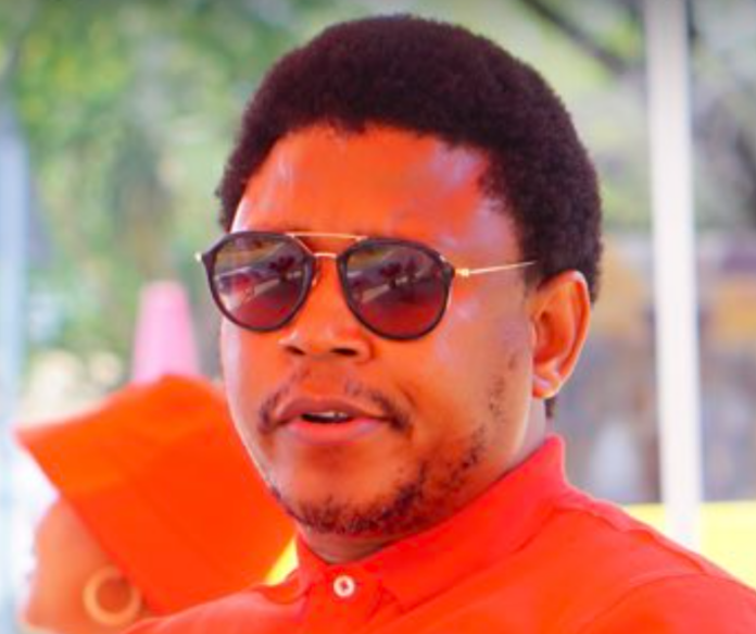 EFF leader quits
