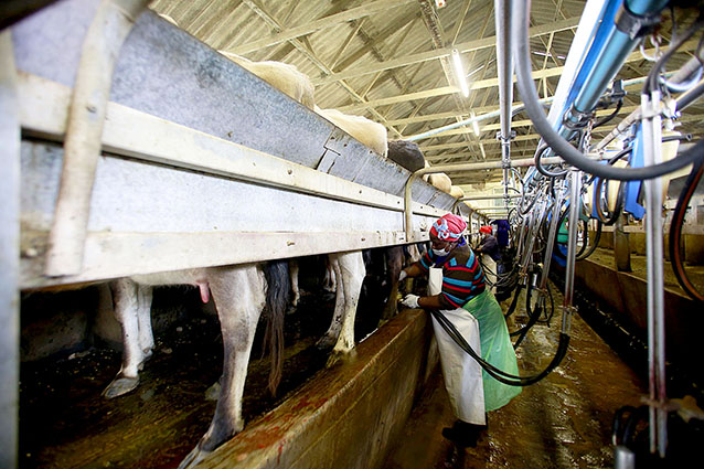 Young graduate makes a success of her mixed farming business 