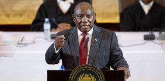Plane glitch robs Cyril Ramaphosa chance to celebrate Kruger park centenary