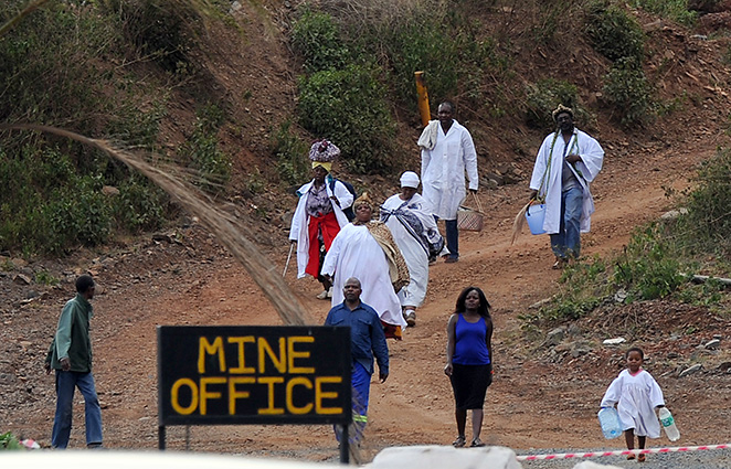 Lily Mine