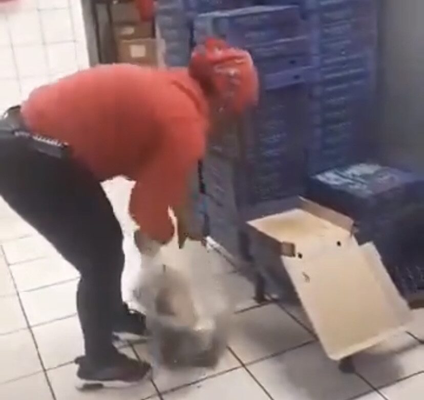 Roman's Pizza video