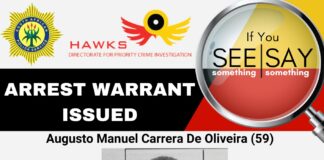 Hawks hunt for company director