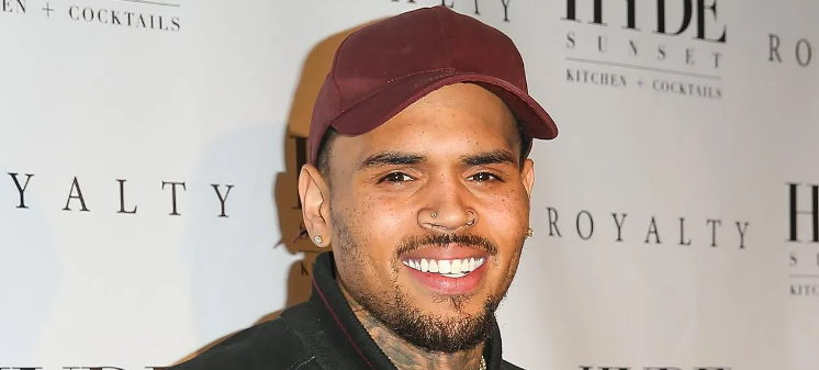 American megastar Chris Brown out on $6.7m bail for assault