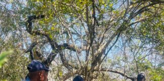 Eastern Cape mass shooting