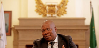 Panyaza Lesufi