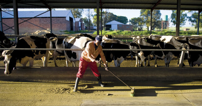 SA's food price inflation