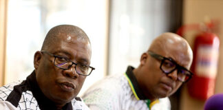 How the ANC’s house split over disbandment of provinces