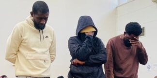 Phala Phala farm robbery