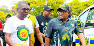Charmza: Fikile Mbalula