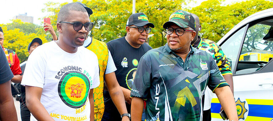 Charmza: Fikile Mbalula