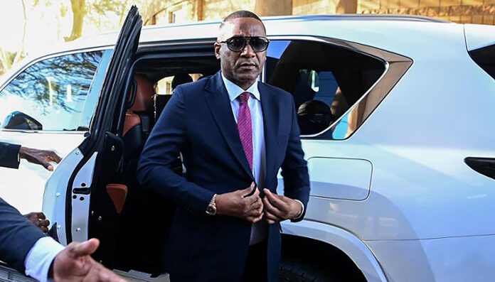 Duma Boko’s diamond heart is a rare stone in Africa’s crown