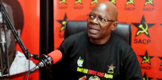 Land reform fails due to lack of political will – Solly Mapaila