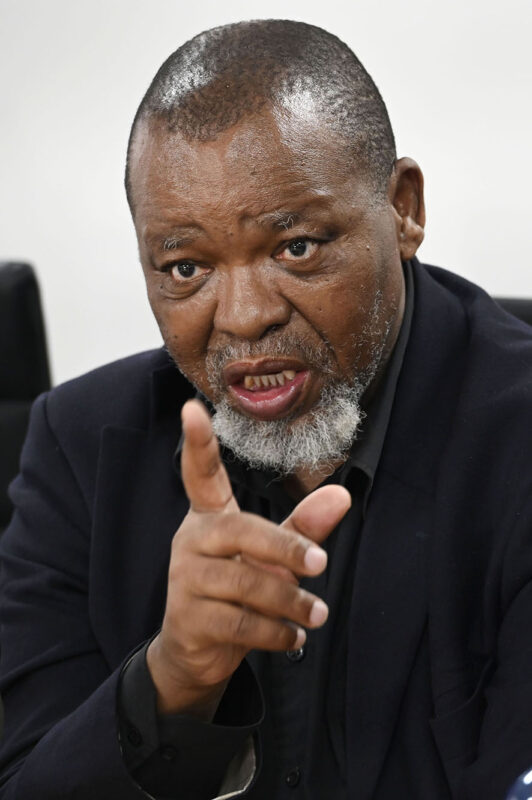 Mantashe and his family receive threats