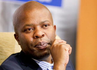 Gauteng MEC for Education, Lebogang Maile