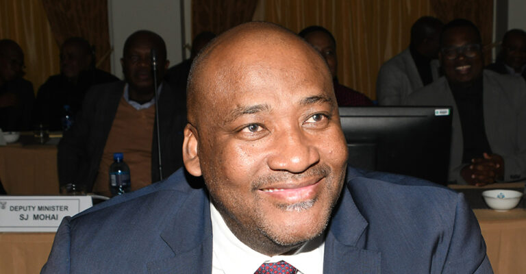 Gayton McKenzie vows private sector will foot R1bn Formula 1 race costs