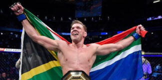 Fabulous Bafana and Springboks shine in unforgettable sporting year for SA 