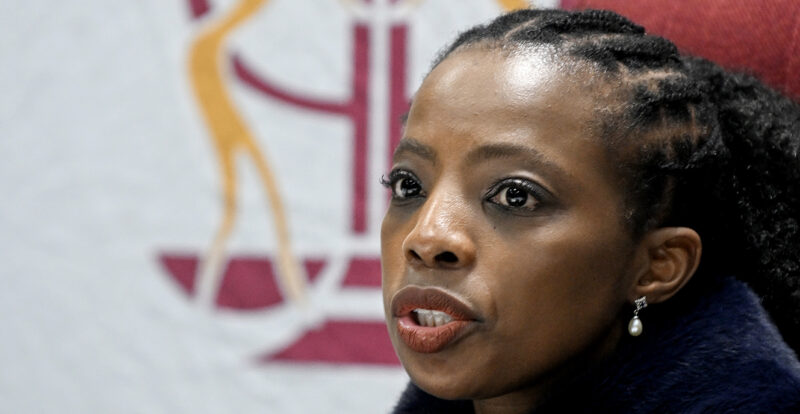 Public protector to probe Senzo Mchunu