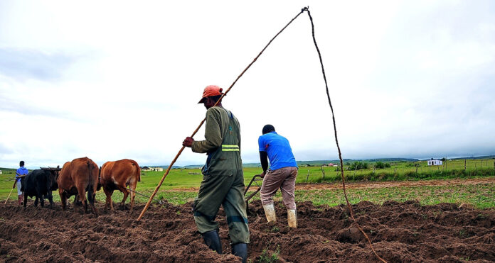 Put land reform top of the National Dialogue agenda